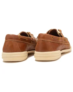 Americana Ii Eye-Folk Brown