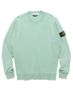 Crewneck Sweatshirt #02 Light Green