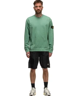Crewneck Sweatshirt Light Green #01